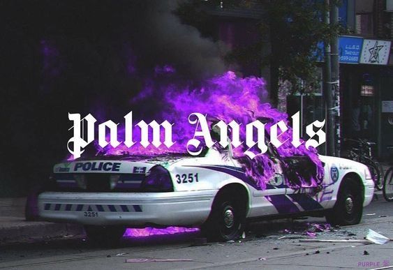 Palm angels shorts